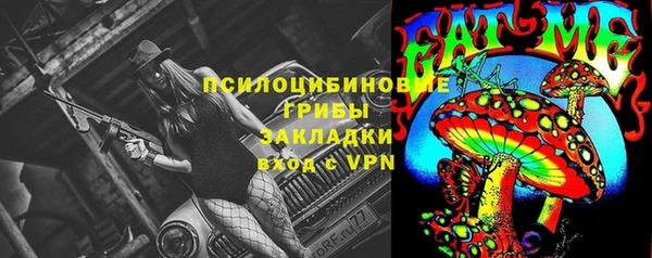 дживик Липки