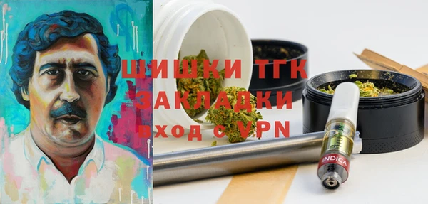 дживик Липки