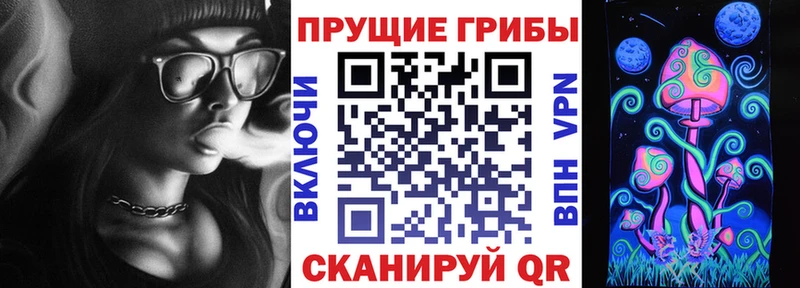 Псилоцибиновые грибы Psilocybine cubensis  Купить закладки  Шебекино 